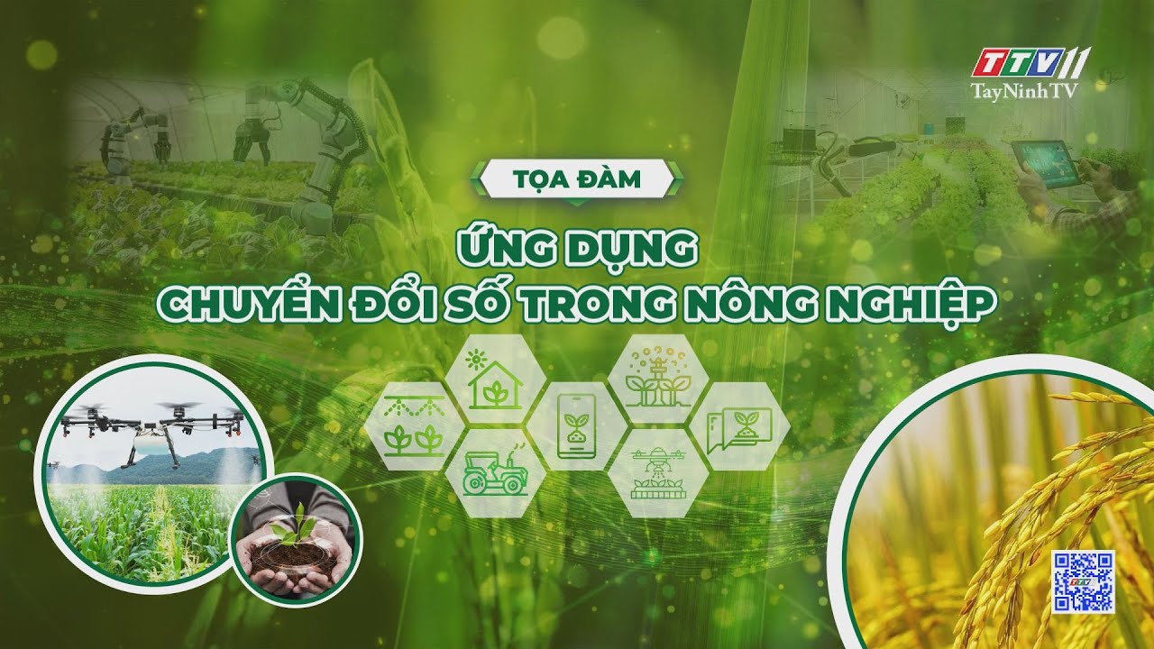 Toạ đàm trực tiếp: Ứng dụng chuyển đổi số trong nông nghiệp | TayNinhTV